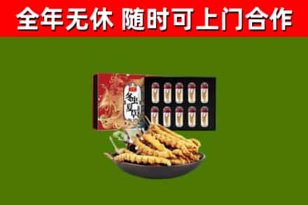 吉安市回收冬虫夏草价格