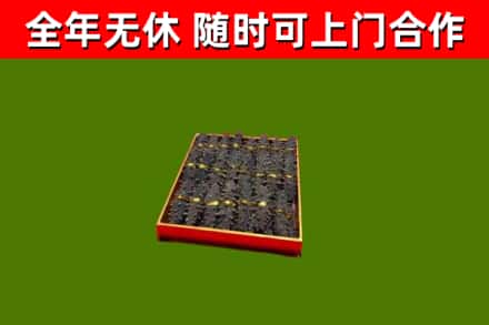 吉安市回收海参